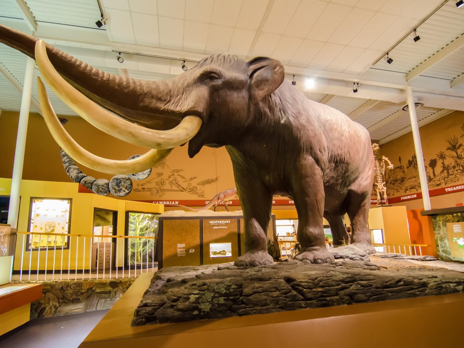 Illinois State Museum